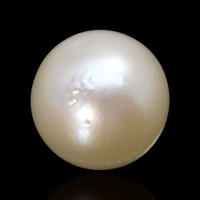 1.34 Ct. Cream with Silver Overtone Akoya Pearl from China Image