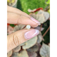 1.34 Ct. Cream with Silver Overtone Akoya Pearl from China Life Style
