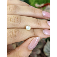1.28 Ct. Cream with Silver Overtone Akoya Pearl from China Life Style