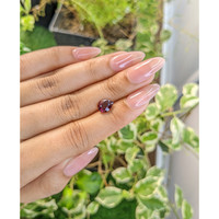 2.19 Ct. Garnet from Ceylon (Sri Lanka) Life Style