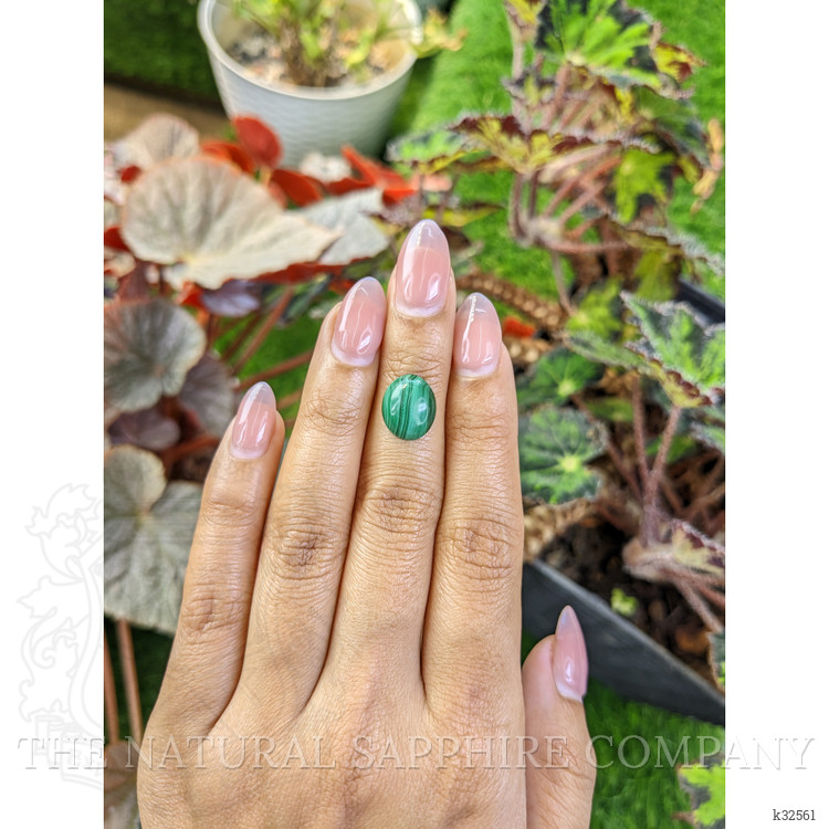 4.73 Ct. Cabochon Malachite from Russia