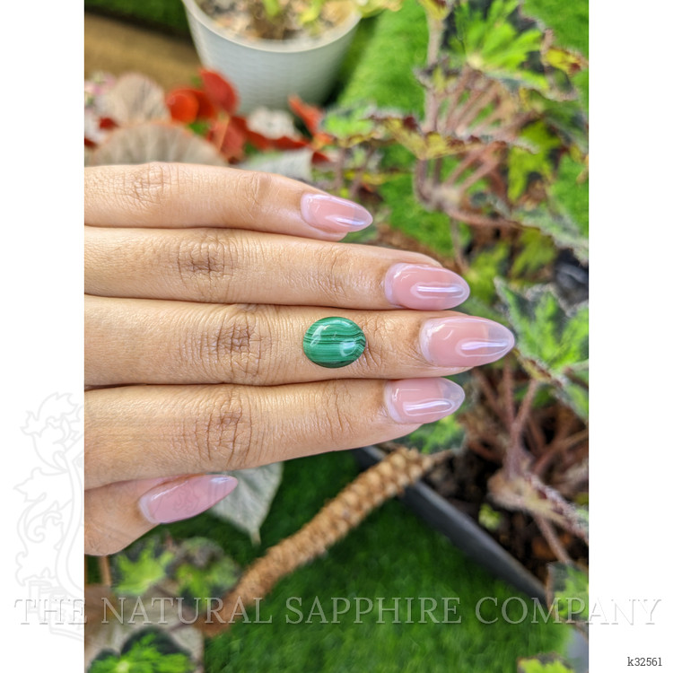 4.73 Ct. Cabochon Malachite from Russia