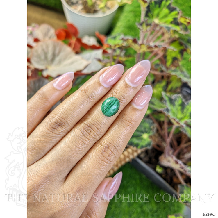 4.73 Ct. Cabochon Malachite from Russia