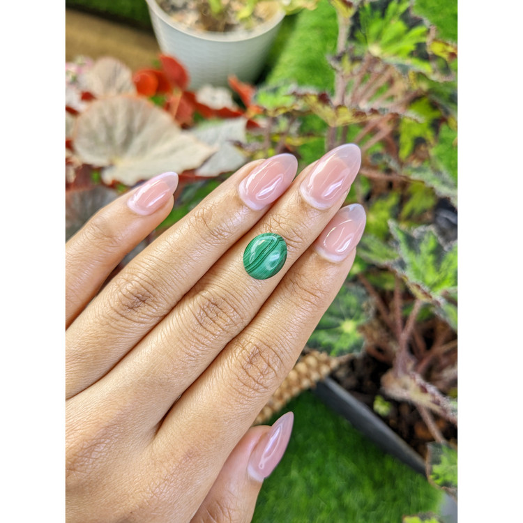 4.73 Ct. Cabochon Malachite from Russia