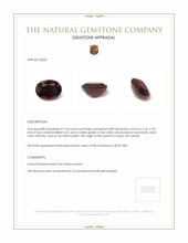 2.44 Ct. Garnet from Ceylon (Sri Lanka) Appraisal