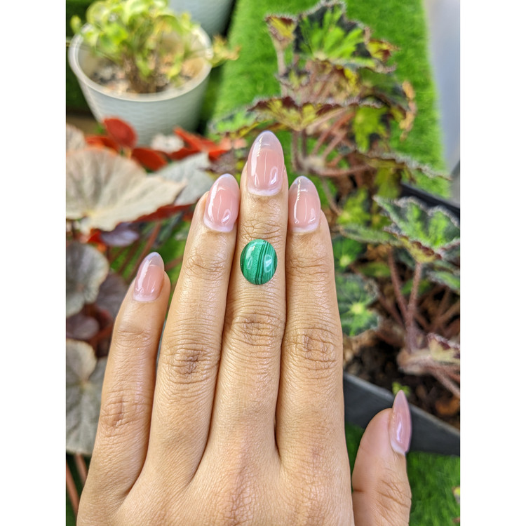 4.93 Ct. Cabochon Malachite from Russia