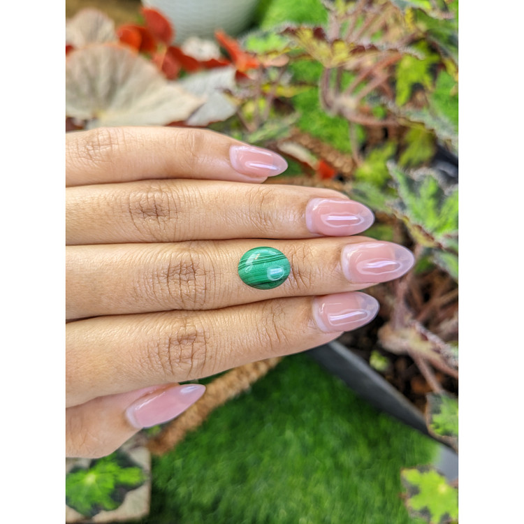 4.84 Ct. Cabochon Malachite from Russia