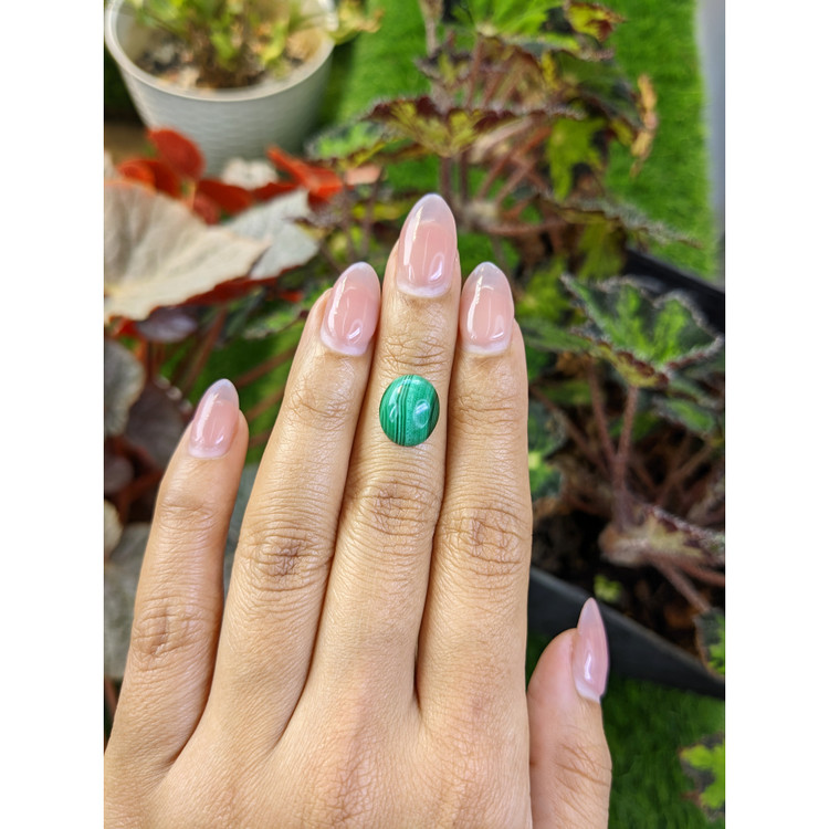 5.14 Ct. Cabochon Malachite from Russia