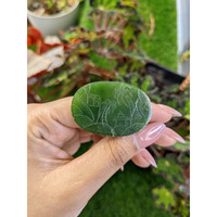 41.40 Ct. Green Jade from China Life Style