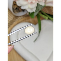 3.71 Ct. Salmon and White Cabochon Coral from Italy Life Style