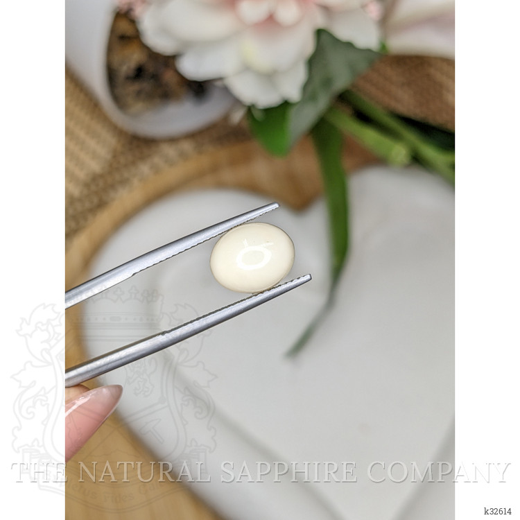 3.71 Ct. Salmon and White Cabochon Coral from Italy