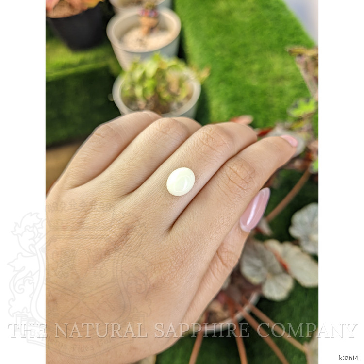 3.71 Ct. Salmon and White Cabochon Coral from Italy