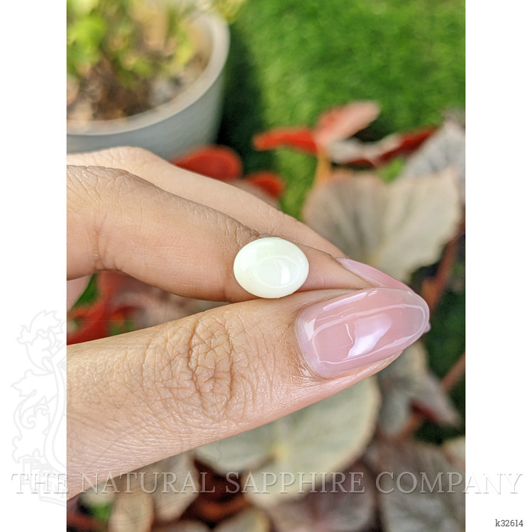 3.71 Ct. Salmon and White Cabochon Coral from Italy