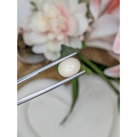 3.50 Ct. Salmon and White Cabochon Coral from Italy Life Style