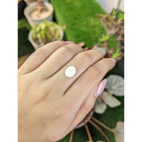 3.50 Ct. Salmon and White Cabochon Coral from Italy Life Style