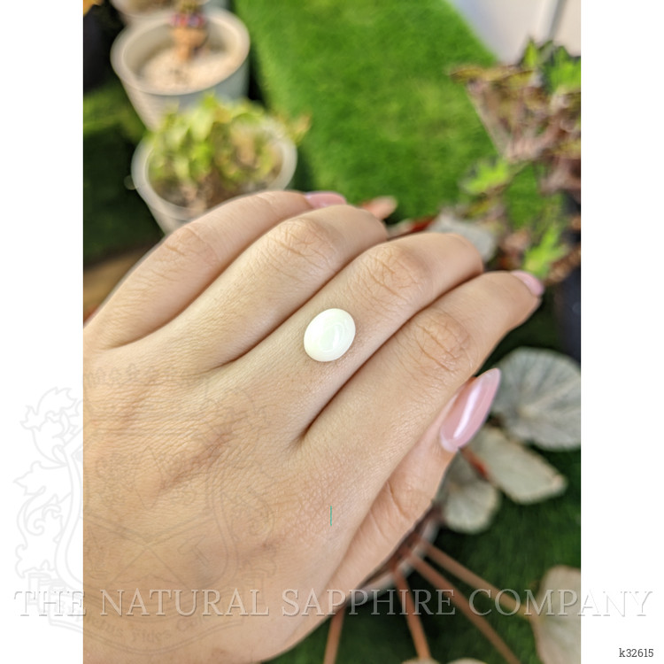 3.50 Ct. Salmon and White Cabochon Coral from Italy