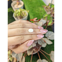 3.50 Ct. Salmon and White Cabochon Coral from Italy Life Style