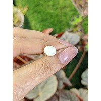 3.50 Ct. Salmon and White Cabochon Coral from Italy Life Style