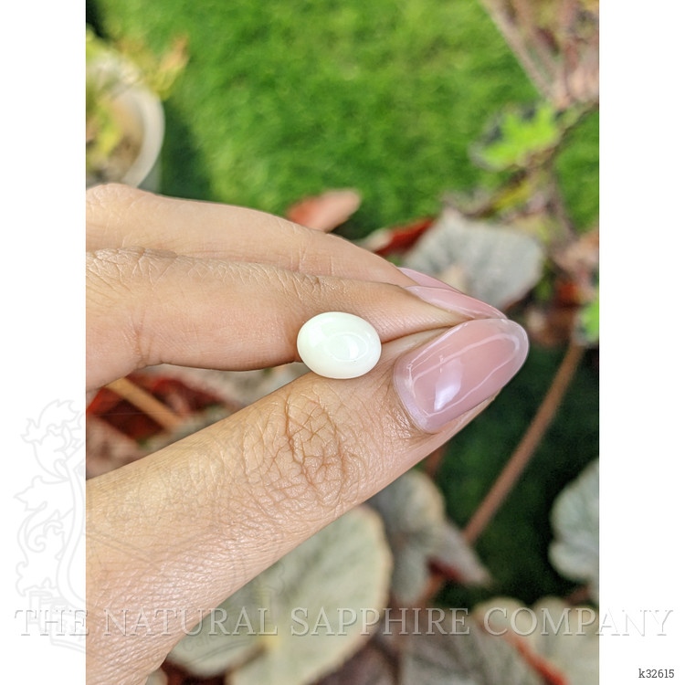 3.50 Ct. Salmon and White Cabochon Coral from Italy