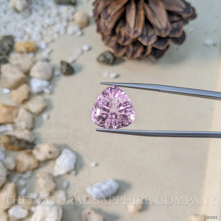 16.24 Ct. Kunzite from Afghanistan