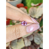 1.52 Ct. Purplish Pink Spinel from Ceylon (Sri Lanka) Life Style