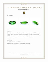 1.03 Ct. Tsavorite Garnet from Tanzania Appraisal
