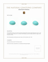 1.09 Ct. Cabochon Turquoise from Persia Appraisal
