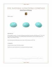 1.27 Ct. Cabochon Turquoise from Persia Appraisal