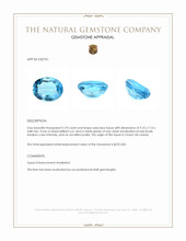 2.70 Ct. Swiss Blue Topaz from Ceylon (Sri Lanka) Appraisal