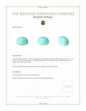1.16 Ct. Cabochon Turquoise from Persia Appraisal