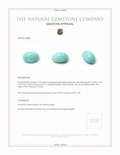 3.10 Ct. Cabochon Turquoise from Persia Appraisal