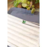 1.36 Ct. Green Garnet from Tanzania Life Style