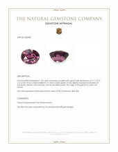 1.23 Ct. Purplish Pink Garnet from Ceylon (Sri Lanka) Appraisal