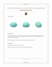 1.21 Ct. Cabochon Turquoise from Persia Appraisal