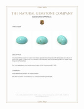 1.21 Ct. Cabochon Turquoise from Persia(Iran) Appraisal