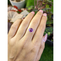 1.92 Ct. Purple Cabochon Amethyst from Ceylon (Sri Lanka) Life Style