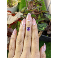 2.21 Ct. Purple Cabochon Amethyst from Ceylon (Sri Lanka) Life Style