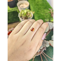 2.15 Ct. Orange Cabochon Hessonite Garnet from Madagascar Life Style