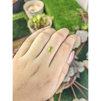 1.18 Ct. Green (Lime Green) Cabochon Peridot from Ceylon (Sri Lanka) Life Style