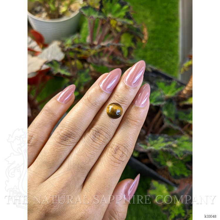 4.19 Ct. Cabochon Tiger's Eye from Ceylon (Sri Lanka)