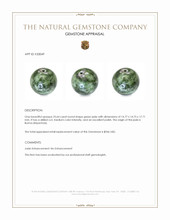 23.64 Ct. Green Jade from Burma (Myanmar) Appraisal