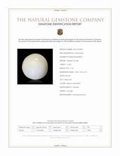 1.94 Ct. Salmon and White Cabochon Coral from Australia Scan Report