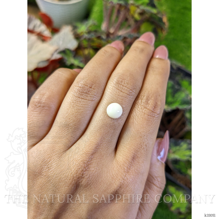 1.94 Ct. Salmon and White Cabochon Coral from Australia