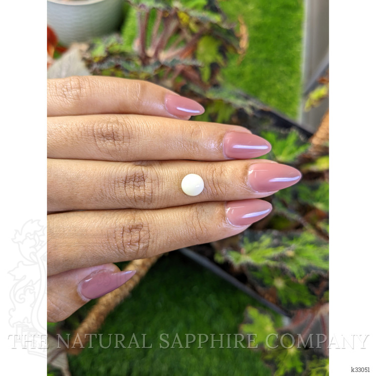 1.94 Ct. Salmon and White Cabochon Coral from Australia