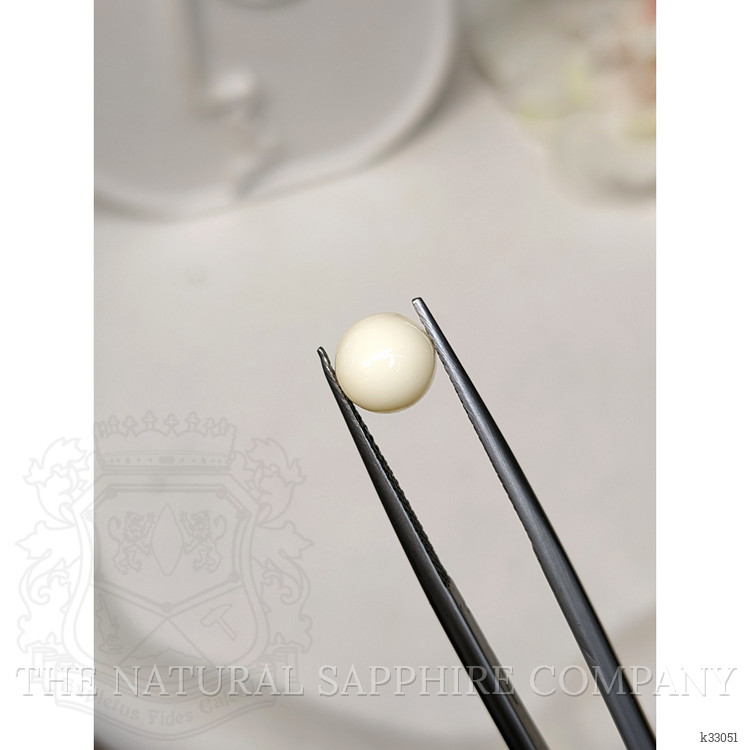 1.94 Ct. Salmon and White Cabochon Coral from Australia