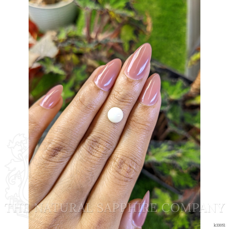 1.94 Ct. Salmon and White Cabochon Coral from Australia