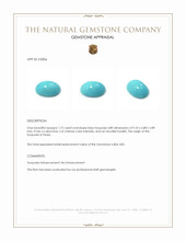 1.72 Ct. Cabochon Turquoise from Persia Appraisal