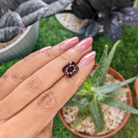 5.51 Ct. Red Garnet from Ceylon (Sri Lanka) Life Style