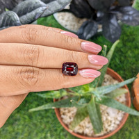 5.51 Ct. Red Garnet from Ceylon (Sri Lanka) Life Style