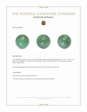 10.21 Ct. Green Jade from Burma (Myanmar) Appraisal